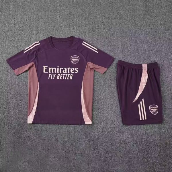 2425 arsenal purple jersey