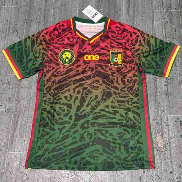 24-25 Cameroon Host Football Jersey