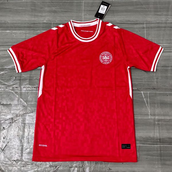 24-25 Denmark Home Football Jersey